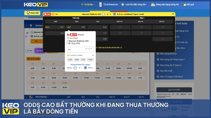 Odds cao bất thường khi đang thua thường là bẫy dòng tiền.